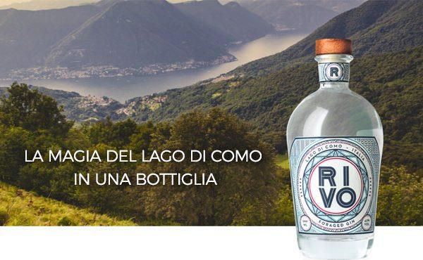 RIVO GIN - Piemonte