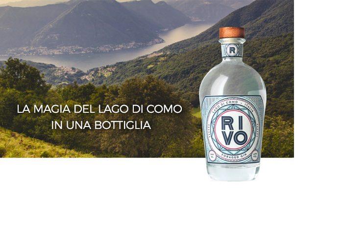 RIVO GIN - Piemonte